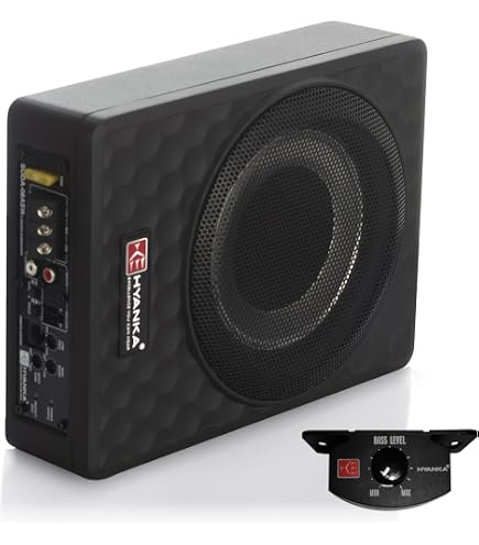 DJ Tech Pro USA, LLC Pioneer TS-WX130DA Compact Active subwoofer