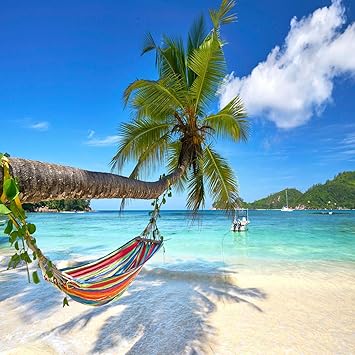 Amazon Com Kate 8x8ft Tropical Paradise Beach Photography Backdrops Coconut Palm Tree Backdrop For Photography Cozy Hammock Sunny Summer Day Photo Background Camera Photo