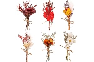Chenkaiyang 6Pcs Mini Dried Flowers Bouquet, Mixed Natural Dried Flowers Gypsophila Bouquets for Crafts with 3 Gold Foil Flower Stickers Gift Stickers for DIY Craft Card Photo Props Home Wedding Decor