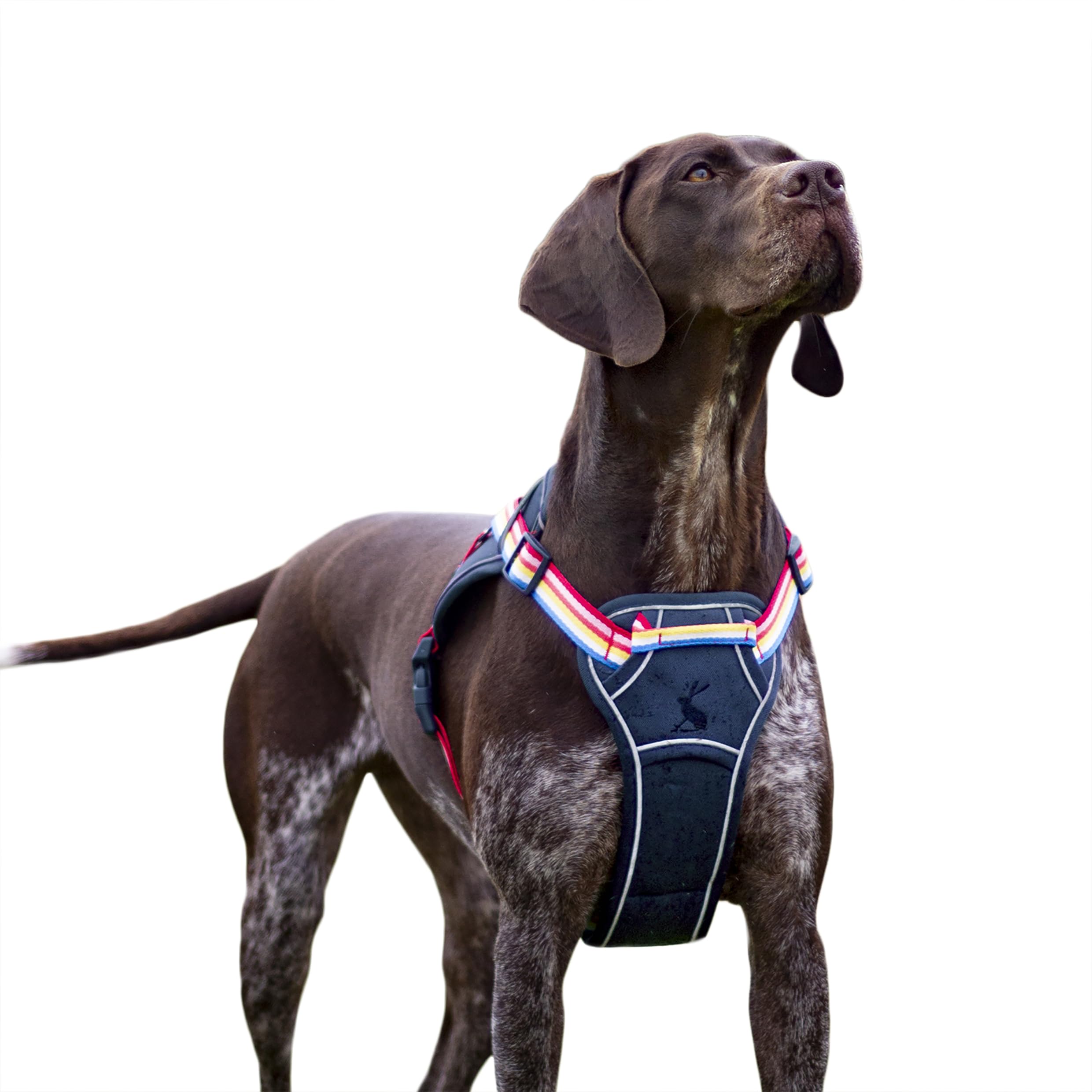 Rosewood x Joules Rainbow Harness, Small, Reflective Trim