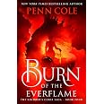Burn of the Everflame: A Novel - View 6