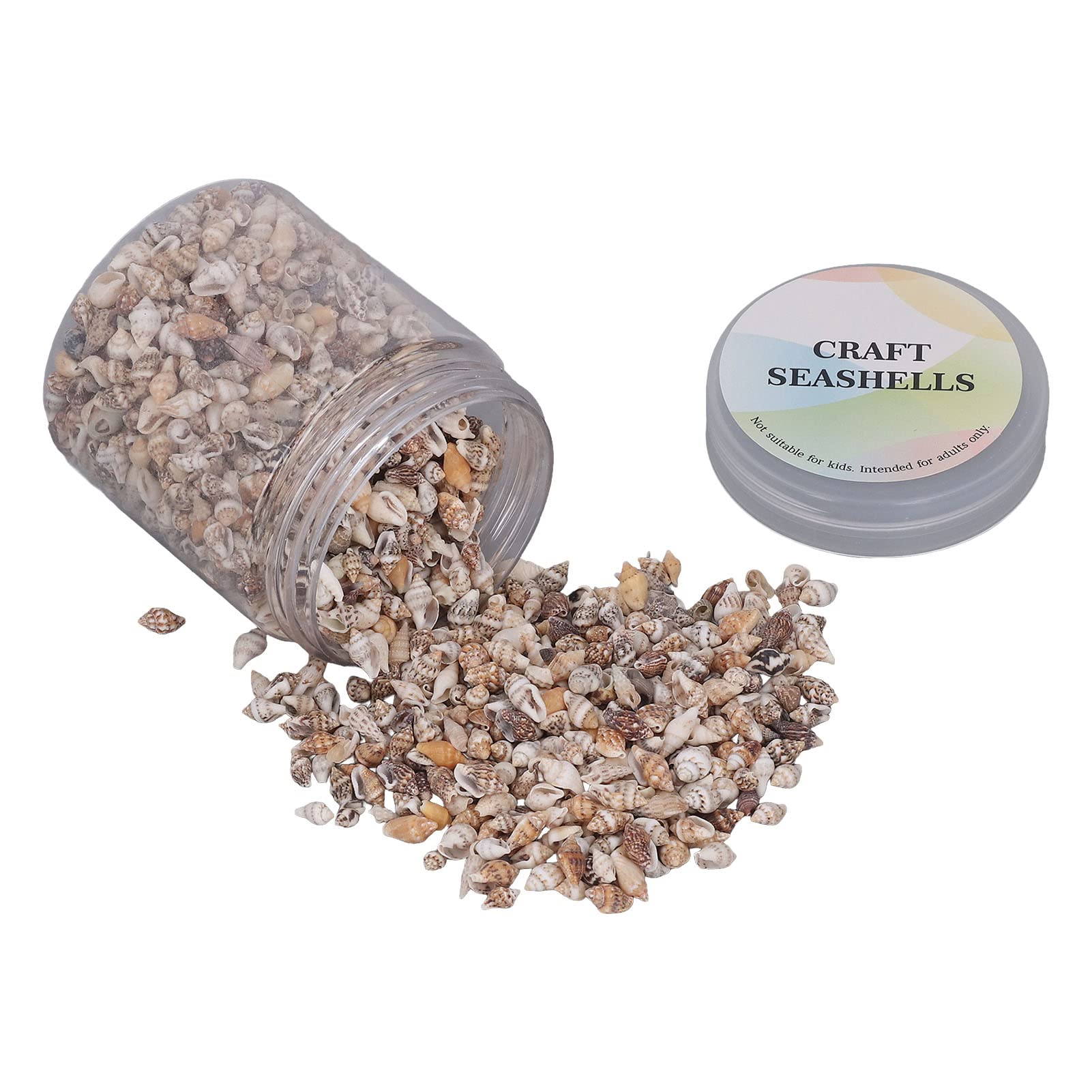 Asixxsix Sea Shells, 1 Can Mixed Tiny Sea Shells Small Beach Spiral Seashells Multipurpose Ocean Beach Seashells for Beach Theme Party, Candle Making, DIY Crafts, Fish Tank and Vase