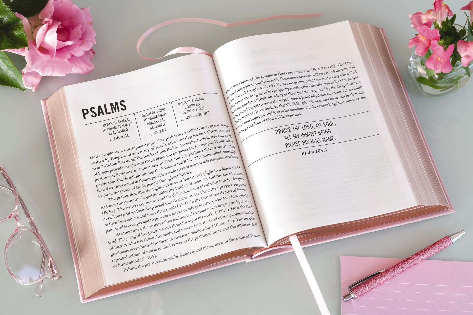 The Jesus Bible, NIV Edition, Leathersoft over Board, Pink, Comfort Print The Jesus Bible, NIV Edition, Leathersoft over Board, Pink, Comfort Print Hardcover