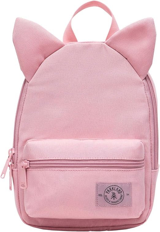 amazon big backpacks