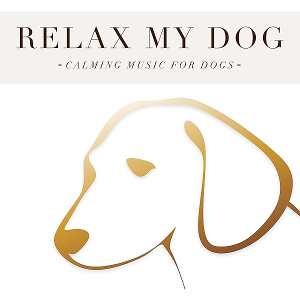 relax my dog calming music for dogs