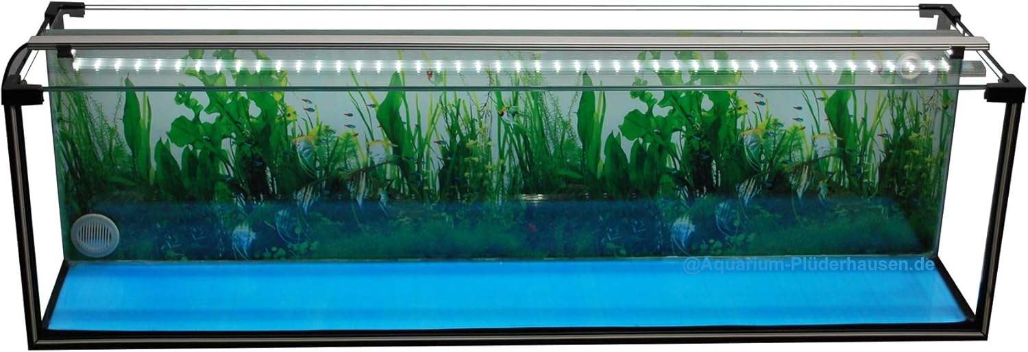 Aquarium ZuchtBecken 38 L, GarnelenAquarium, AufzuchtAquarium