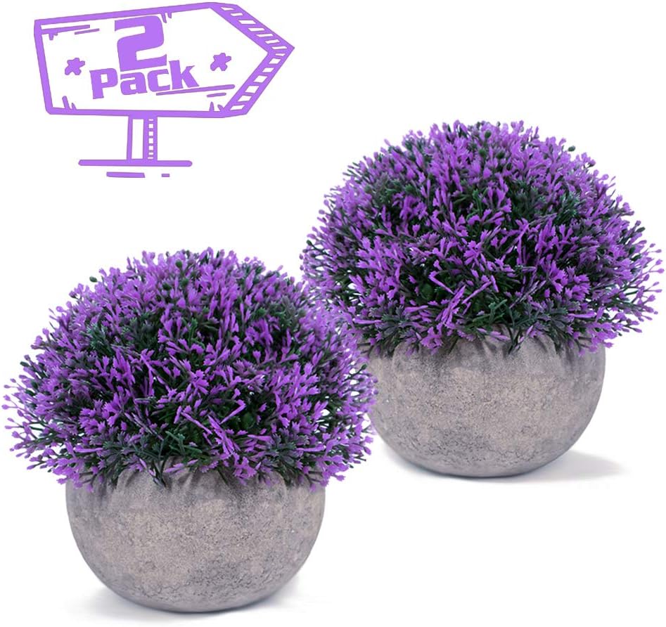 Vangold Künstliche Pflanzen Lebensechte Kunstpflanze Lila Kleine