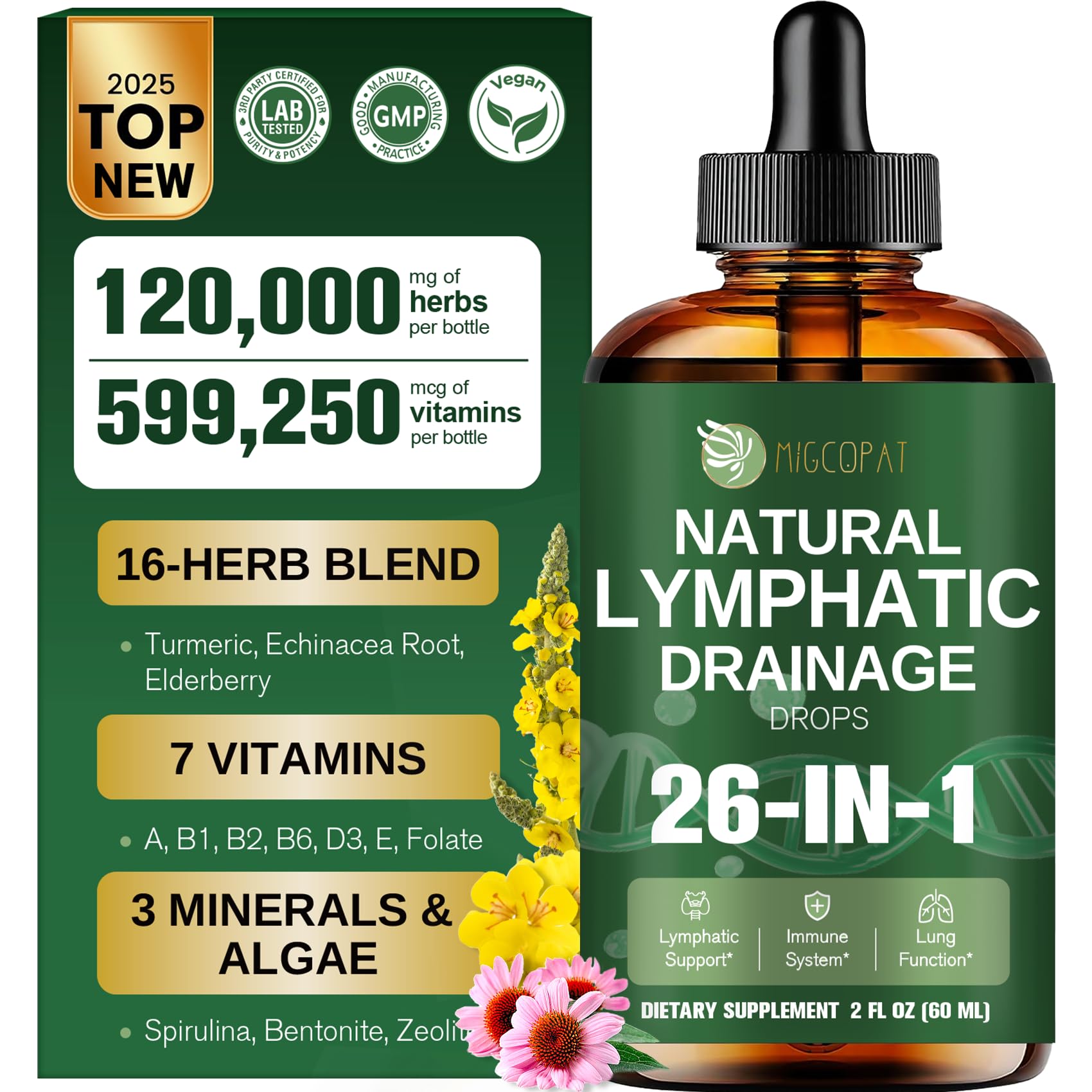 Lymphatic Drainage Support