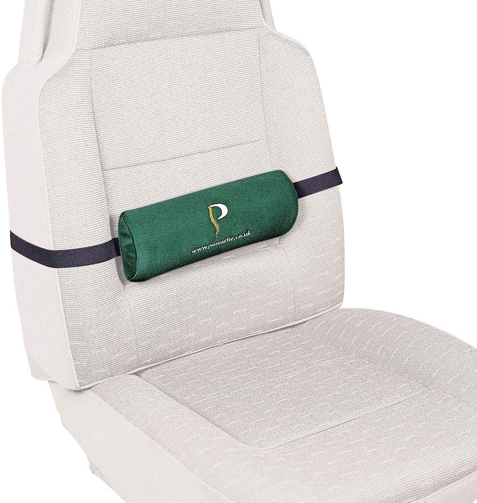 Posturite 5 Inch DShape Lumbar Roll BigaMart
