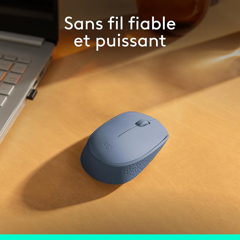 M171 Souris Sans Fil pour PC, Mac, Ordinateur portable