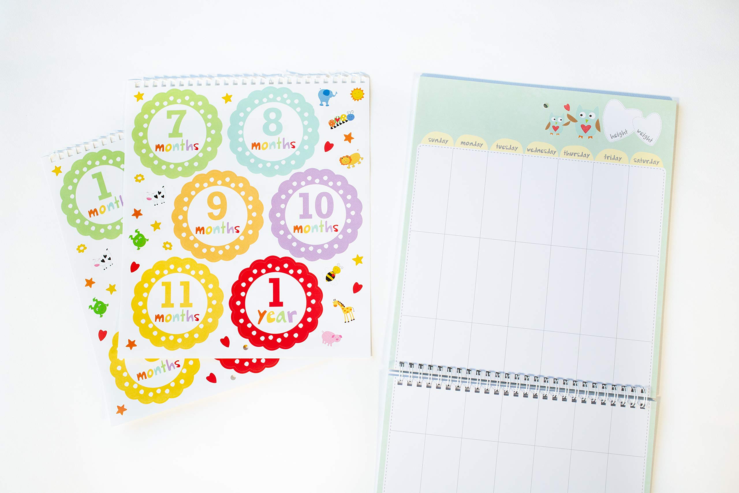 Baby's First Year: A Welcome Little One Keepsake, Memories Journal and Undated Monthly Calendar to Hang & Display (baby shower gifts for new parents) (Welcome Little One Baby Gift Collection)