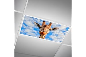 SCWISOAS Fluorescent Light Covers for Ceiling Lights -Magnetic Cloud Cover for Fluorescent Or LED Fixture 2ft x 4ft Classroom,Home,Office Decoration Filters Overhead Lighting- Giraffe