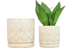 YFFSRJDJ 8 Inch + 6 Inch Indoor Plant Pot with Drainage Holes and Saucers, Ceramic Planter for Plants, Succulent Orchid Flower Pots