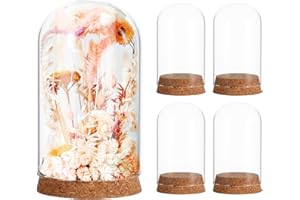 IMIKEYA 5Pcs The Bell Jar Glass Cloche with Rustic Wood Base, Tall Clear Decorative Glass Dome Display for Plants, Curios, Keepsakes, Heirlooms