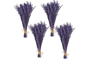 GIFUGI 300 Stems Purple Dried Lavender Flower Bundle - 15-17 " Real Dry Preserved Lavender Bouquet for Shower Home Wedding Vase Decor, Handmade, Fragrance, 4 Packs Live Silk Flowers