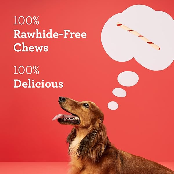DREAMBONE TWIST STICKS CHEWS FOR DOGS, 50 COUNT, TREAT YOUR DOG TO EASY-TO-DIGEST RAWHIDE-FREE CHEWS MADE WITH REAL VEGETABLES AND CHICKEN