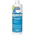 In The Swim Algaecide for Swimming Pools – Green and Yellow Algae Preventative – Non-Clouding, Non-Foaming Formula – 10% Quaternary Compound - 1 Quart