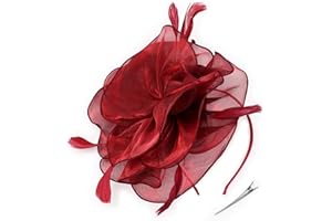 DRESHOW Fascinators Hat Tea Party Headwear Ribbons Feathers on a Headband and a Clip for Women