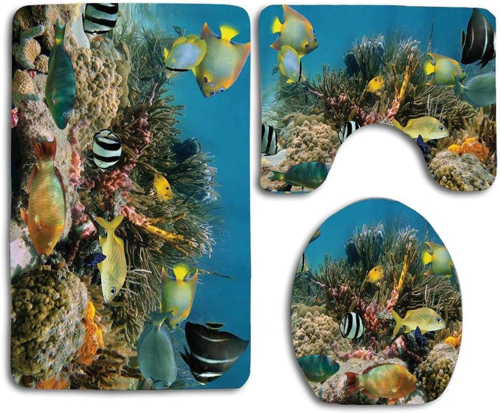 Colonia submarina de coral en un arrecife con un hermoso cardumen de