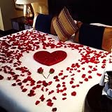 4000 Rose Petals Artificial Silk Red Wedding Confession Party view 7