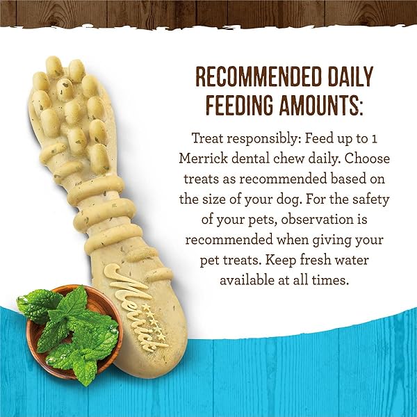 MERRICK FRESH KISSES NATURAL DENTAL CHEWS, TOOTHBRUSH SHAPE TREAT INFUSED WITH REAL MINT, FOR LARGE DOGS – 22 CT. BOX
