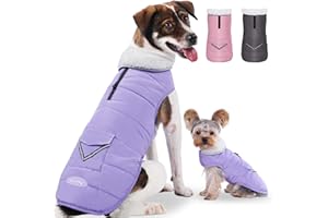 iBuddy Dog Winter Jackets with Fleece Vest,Waterproof Warm Dog Snow Jacket Windproof, Reflective Adjustable Pet Dogs Cold Winter Coat for Large Dogs Girl Boy