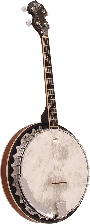 Barnes Mullins Bj304gt Perfect Series 4 String Banjo Amazon Co