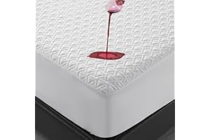 EMONIA Queen Mattress Protector 100% Waterproof Breathable & Cooling Mattress Cover Pad Ultra Soft & Noiseless 3D Air Fabric Fitted 8"-21" Deep Pocket Machine Washable Vinyl Free