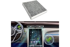 PACLVIO Car Fresh Breeze Air Filter Replacement for Car Passenger, Premium Cabin Air Filter with Activated Carbon, Easy to Install, Auto Compartment Air Filters Replaces CF10134