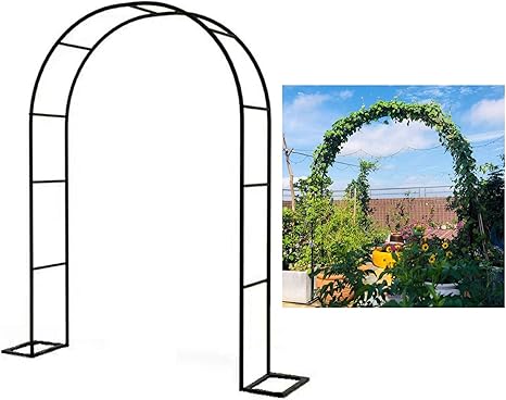 Amazon Co Jp メタル ガーデンアーチ パイプ径19mm 白 黒 金 バラ用ガーデニングアーチ バラアーチフレーム 普及型 結婚式 式 飾りつけ 植物の登山 園芸歩道アーチ 組立式 管状構造 取り付け簡単 ホーム キッチン