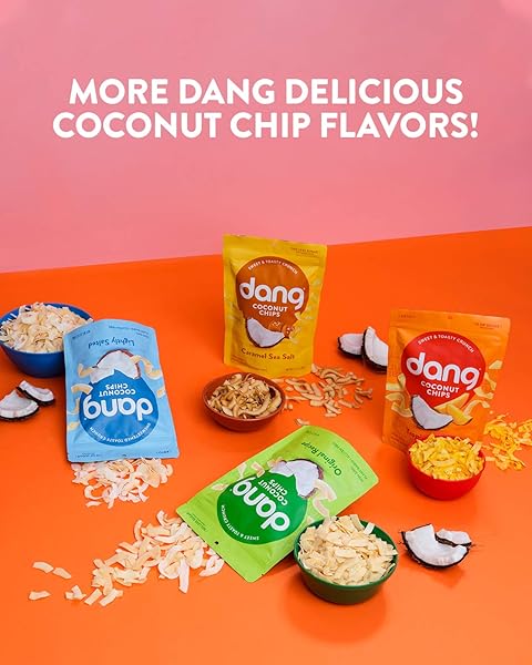 DANG KETO TOASTED COCONUT CHIPS | LIGHTLY SALTED UNSWEETENED | 1 PACK | KETO CERTIFIED, VEGAN, GLUTEN FREE, PALEO FRIENDLY, NON GMO, HEALTHY SNACKS MADE WITH WHOLE FOODS | 3.17 OZ RESEALABLE BAGS