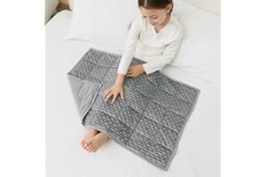 Mr. Sandman Weighted Lap Blanket 2LBS 20 x 30 Inches, Minky Dots Heavy Blanket with Glass Beads, Soft and Cooling for School and Home, Grey