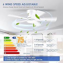 BYKISTOK 46" Flush Mount Ceiling Fan with Lights
