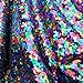 VICTONY Maedi Gras Rainbow Multi Colored Solid Sequin on Black 2 Way Stretch Mesh 55 Inch Wide Buy it by The Yard JN00366