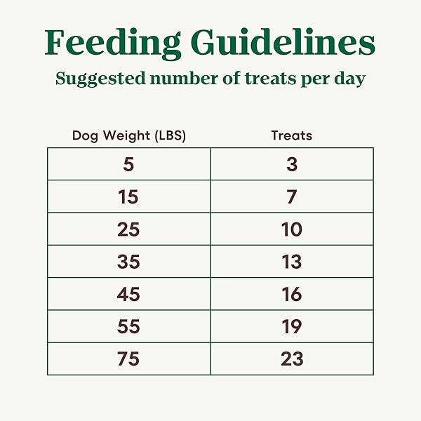 NUTRO CRUNCHY DOG TREATS WITH REAL APPLE, 16 OZ. BAG