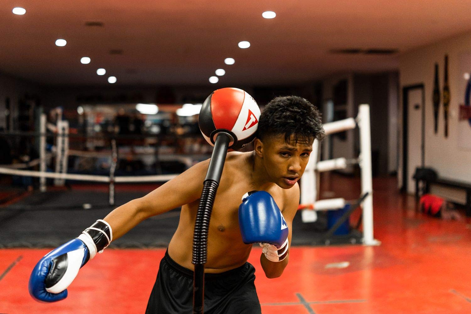 Mua TITLE Boxing Deluxe King Cobra Reflex Bag w/Anchor Bags Freestanding Punching Bag