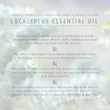 Absolute Aromas Eucalyptus Essential Oil 10ml - Pure & Natural Aromatherapy view 6