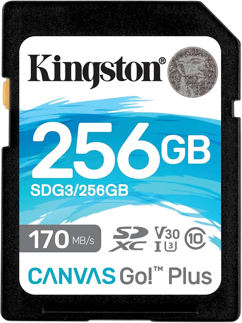 Kingston Canvas Go! Plus 256GB SDXC UHS-I U3 V30 C10 170MB/s