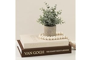 Fveuc Decorative Books for Home Decor - Stackable Faux Book Box for Coffee Table Styling & Hidden Storage - Neutral Linen Fake Books as Display Riser for Shelf & Entryway (Set of 2, Van Gogh Art)