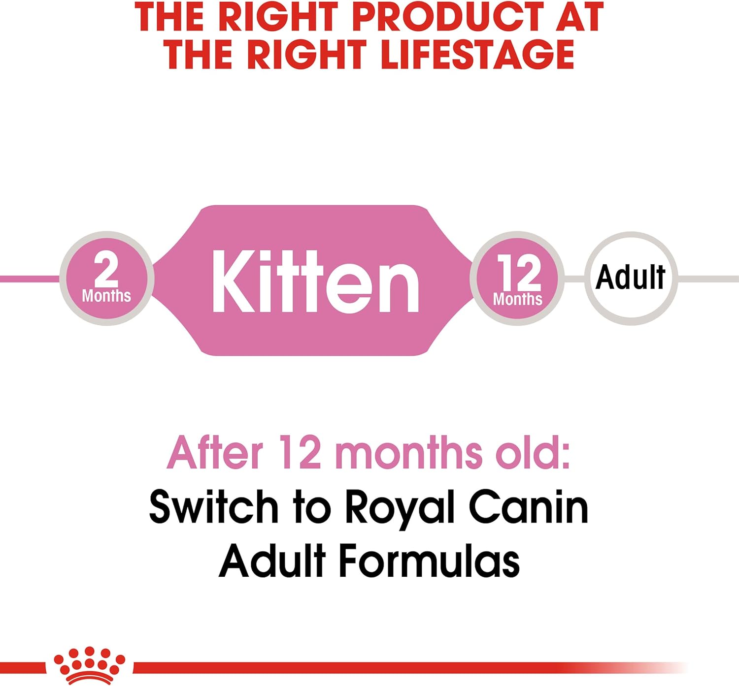 royal canin kitten dry