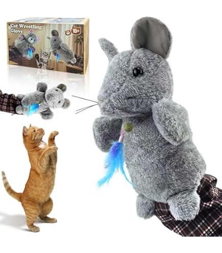 Marionnette De Lutte Pour Chat - Peluche Interactive à Main, Forme Chat, Jouet D'intérieur Pour Chats Actifs | Jouet Chat Interactif