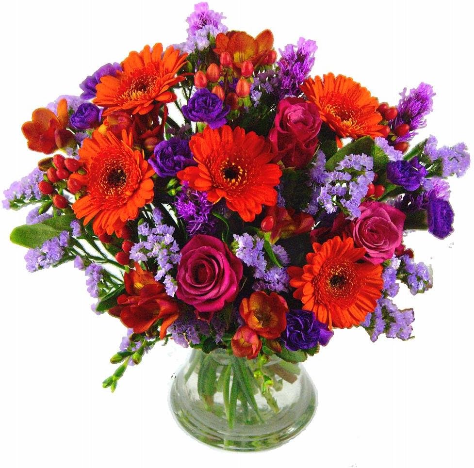 Clare Florist Stylish Boho Chic Fresh Flower Bouquet - Stunning Bouquet of Roses, Germini and Freesia Hand Arranged by Florists