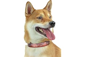 Zubaz X Pets First NFL San Francisco 49Ers Collar For Dogs & Cats, Large