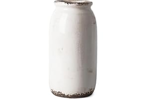 VICTOR & TERESA Rustic White Vase for Home Decor, Ceramic Vases for Flowers, Modern Farmhouse Decorative Vases for Pampas Grass,Table Accent, Mantel, Living Room,Bookshelf, Centerpieces, 8''