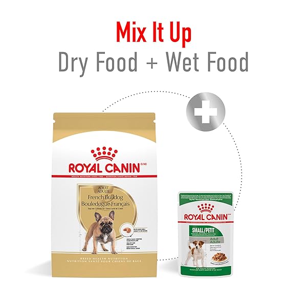ROYAL CANIN BREED HEALTH NUTRITION FRENCH BULLDOG ADULT DRY DOG FOOD, 6 LB BAG