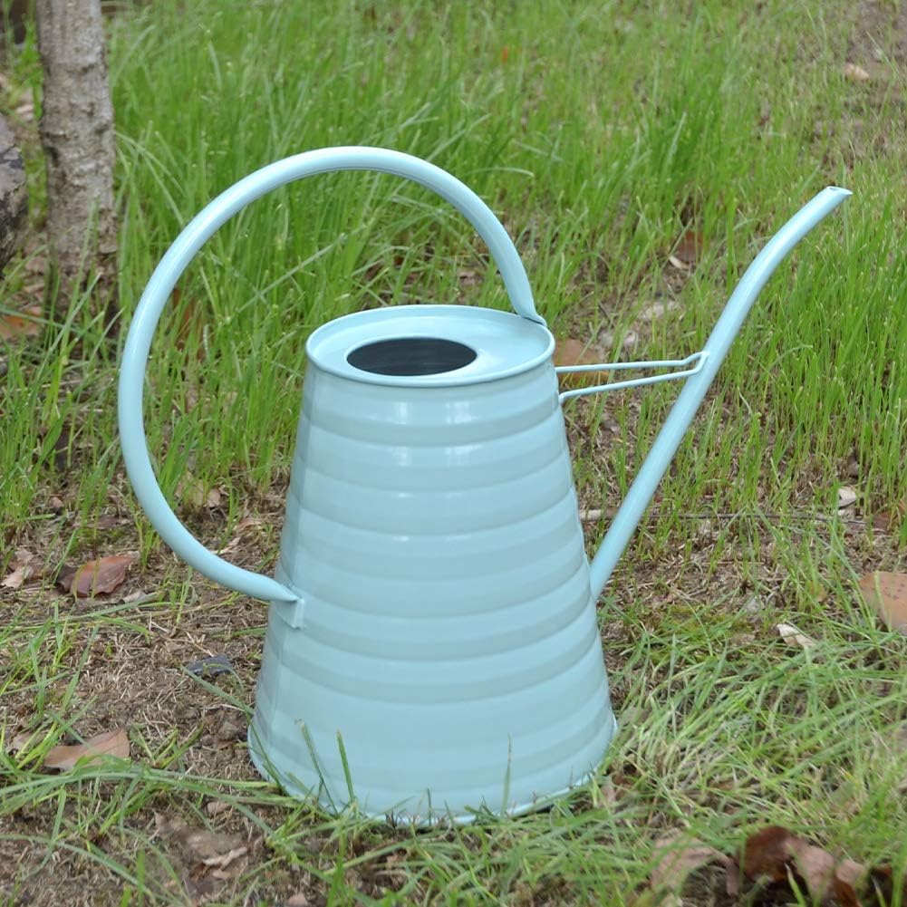 HORTICAN Galvanized Watering Can Modern Style Watering Pot with Handle for Outdoor and Indoor House Plants (0.6 gal/Light Blue) : Garden & Outdoor