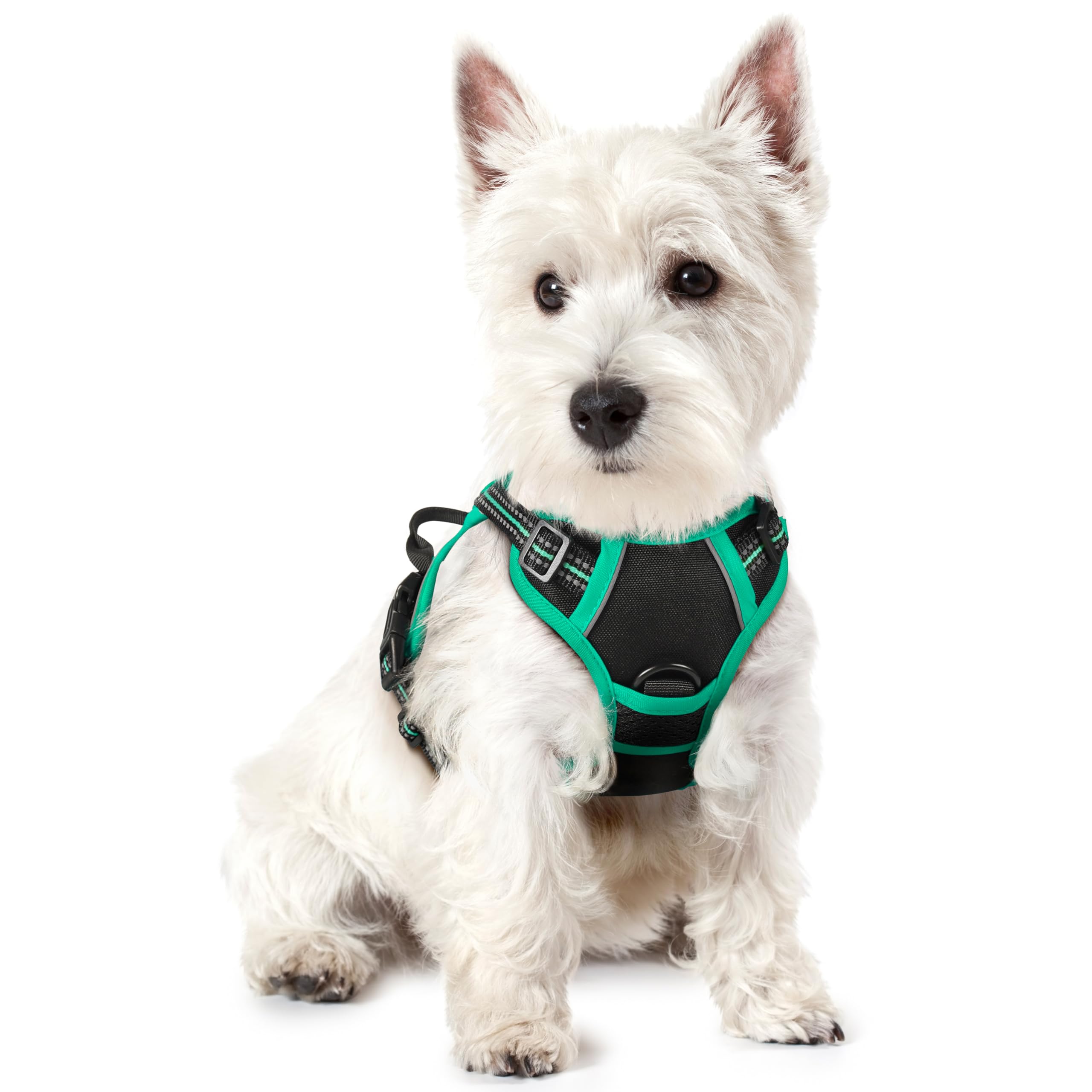 Photo 1 of rabbitgoo Dog Harness No Pull with 2 Leash Clips, Adjustable Soft Padded, Reflective Oxford No Choke Pet Vest with Easy Control Handle for Puppy, Black & Turquoise, XS