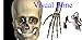 Visual Bones