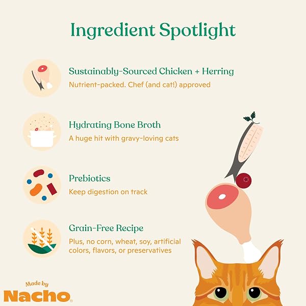 MADE BY NACHO PREMIUM WET CAT FOOD GRAIN-FREE PATE CANS (CHICKEN, SALMON, TURKEY AND KITTEN) (CHICKEN AND HERRING – 24 PACK, 5.5 OUNCE)