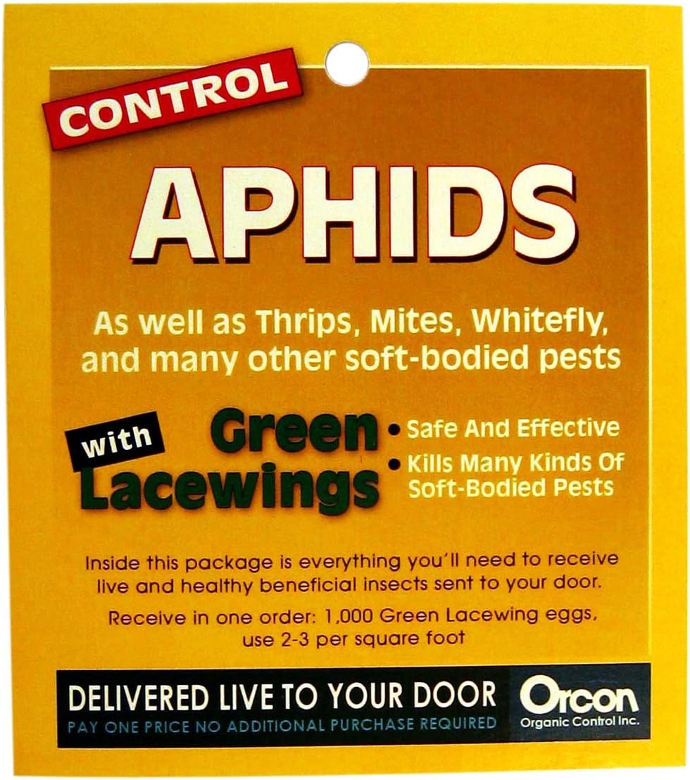 Orcon GL-C4000 Live Green Lacewing Eggs, 4,000 Count